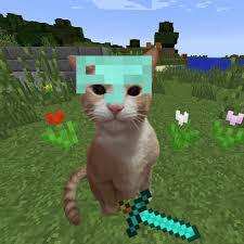 N0 M0N3Y
